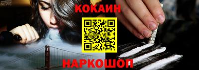 молекула духа Кулебаки