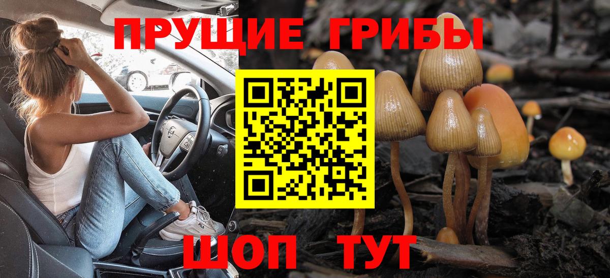 Галлюциногенные грибы Psilocybine cubensis  Вход с VPN  Елабуга  Псилоцибиновые грибы MAGIC MUSHROOMS 