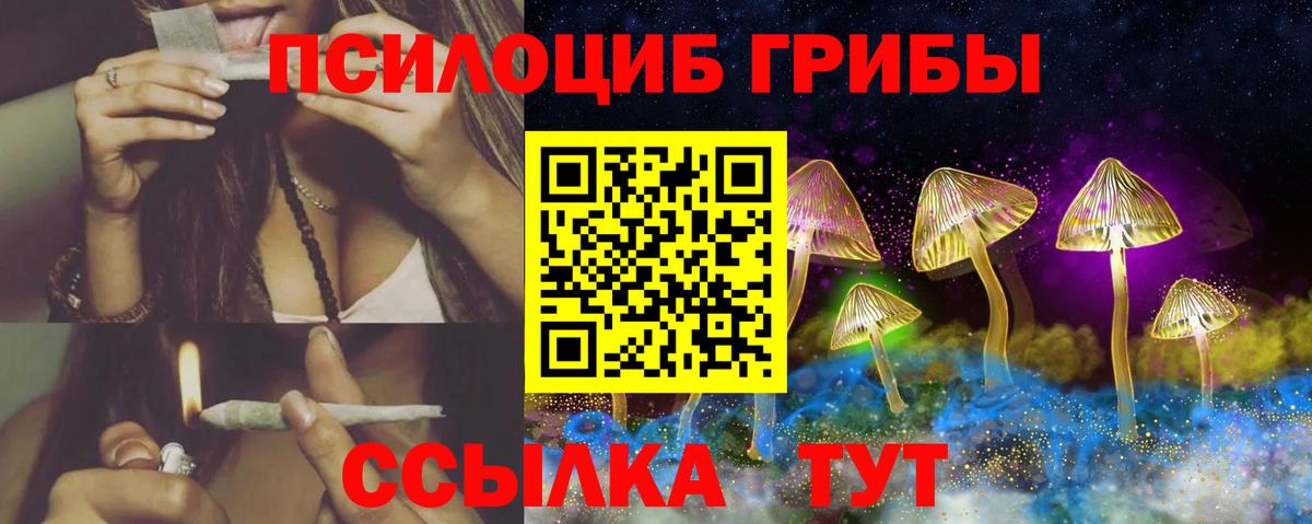 Псилоцибиновые грибы мицелий Елабуга